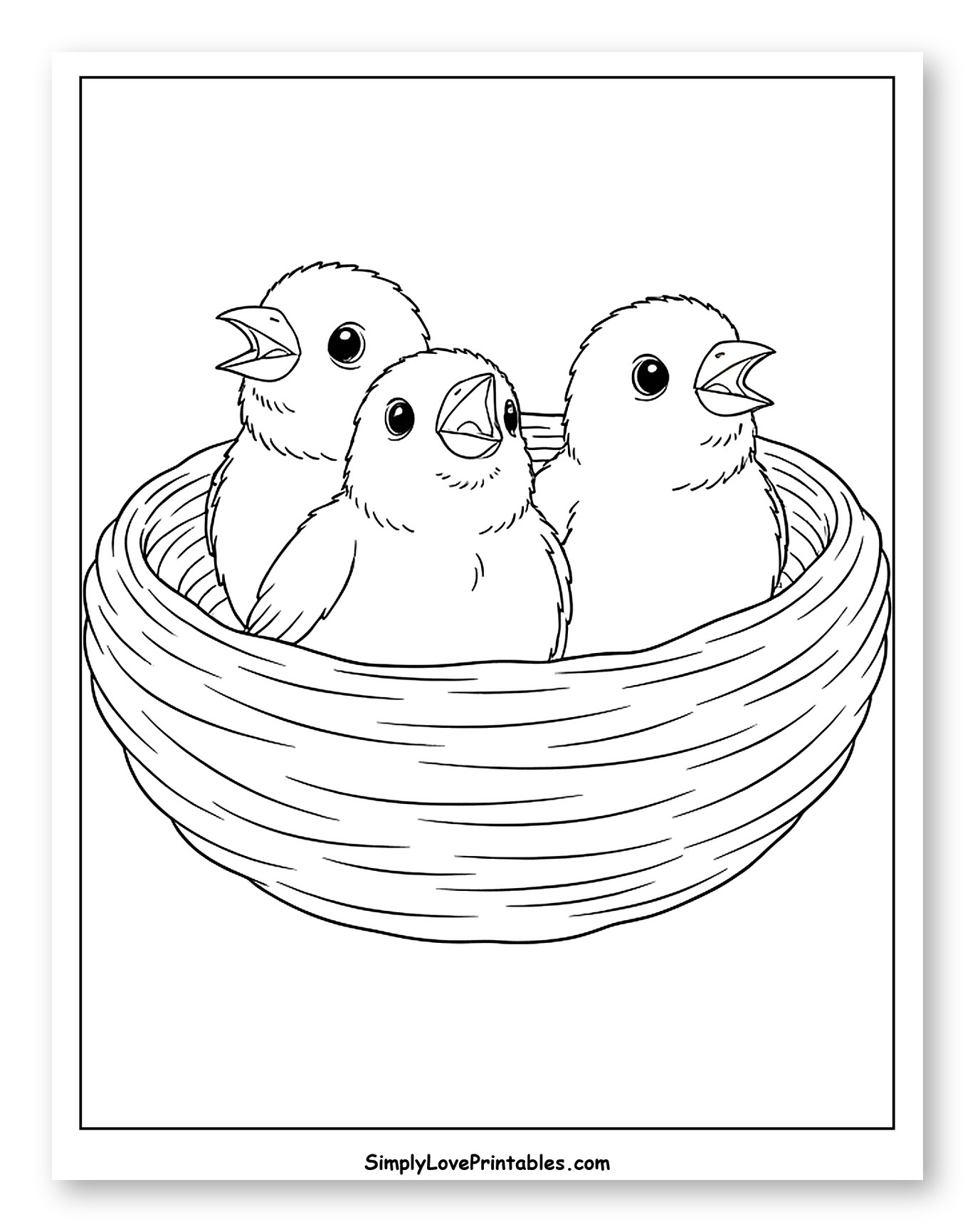 Three Baby Birds in a Nest