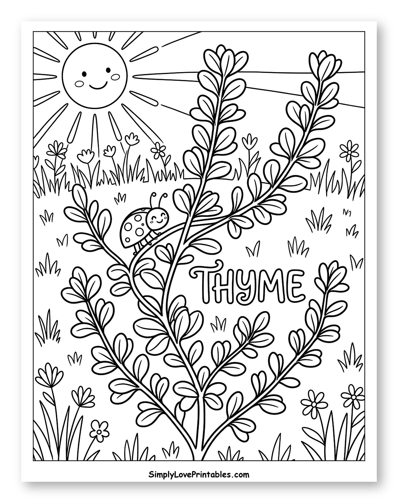 Thyme Herb Plant with Sun and Ladybug Coloring Sheet for Kids