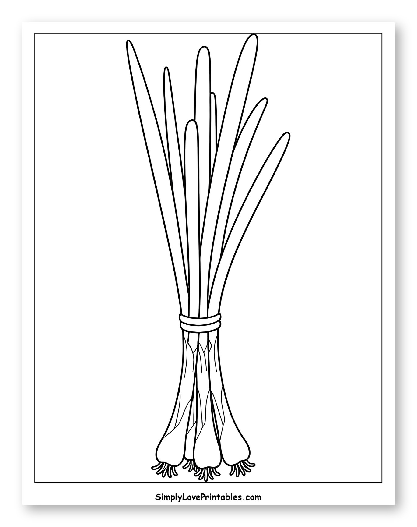 Tied Bunch of Fresh Green Scallions to Color for Toddlers