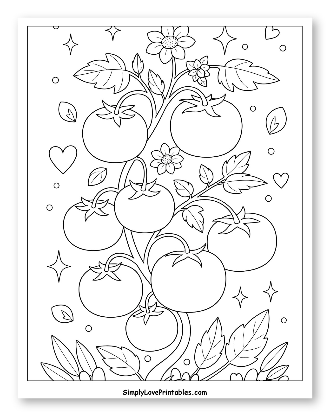 Tomato Plant with Ripe Tomatoes and Flowers