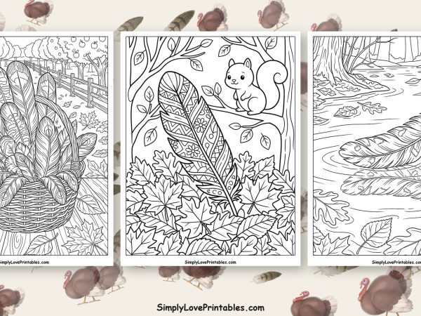 Turkey feather coloring pages featured image