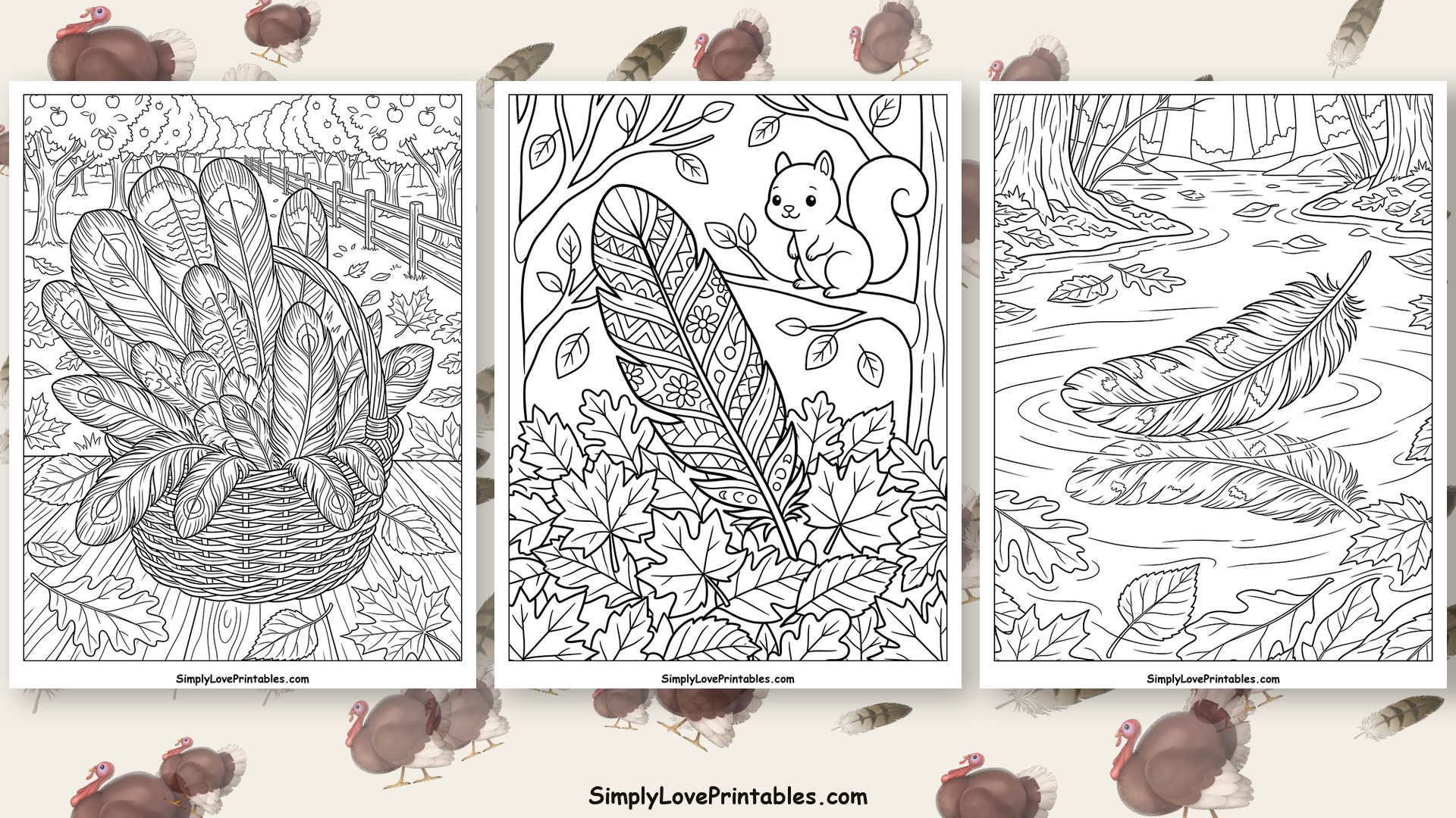 Turkey Feather