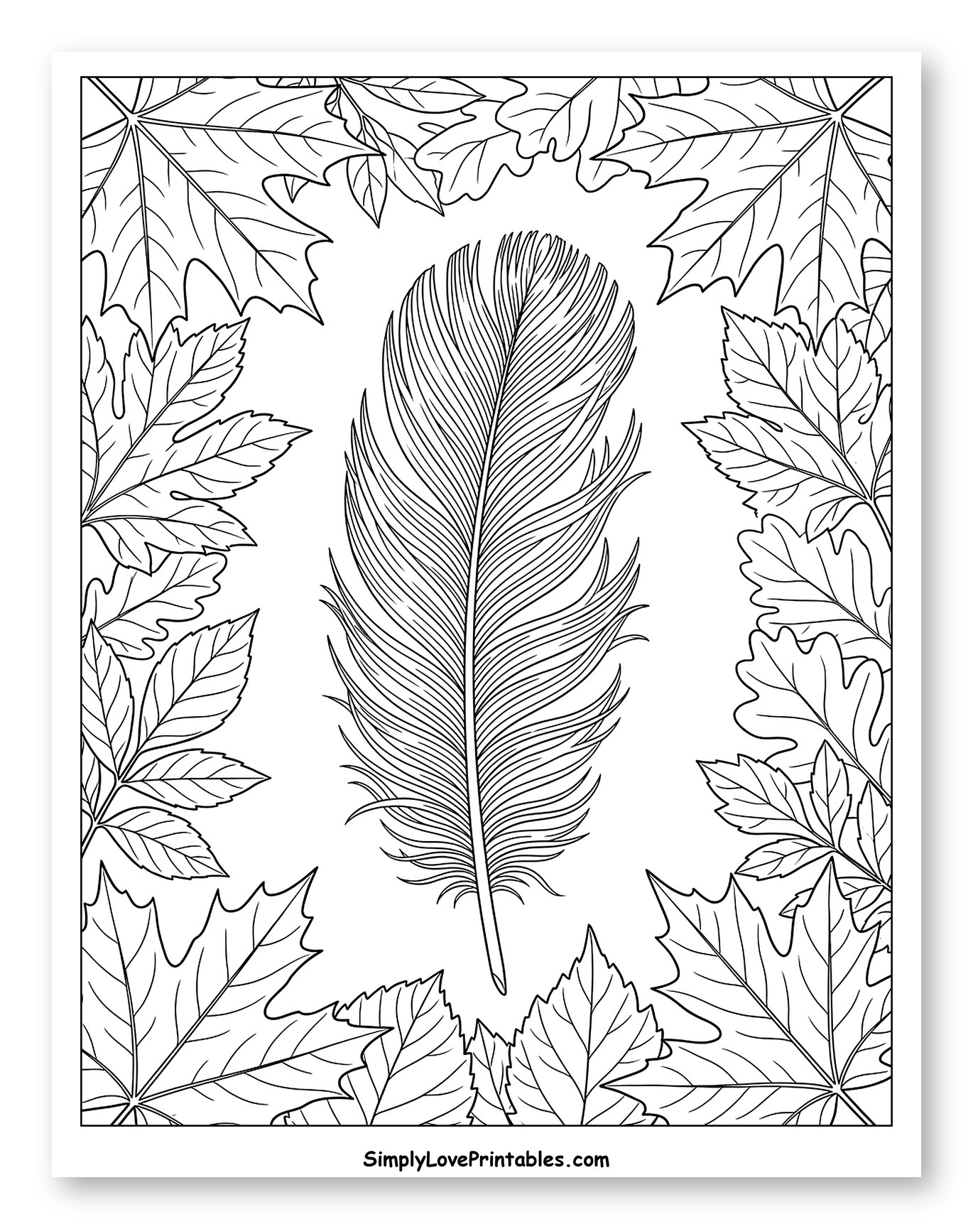 Turkey Feather Surrounded by Autumn Leaves Coloring Page