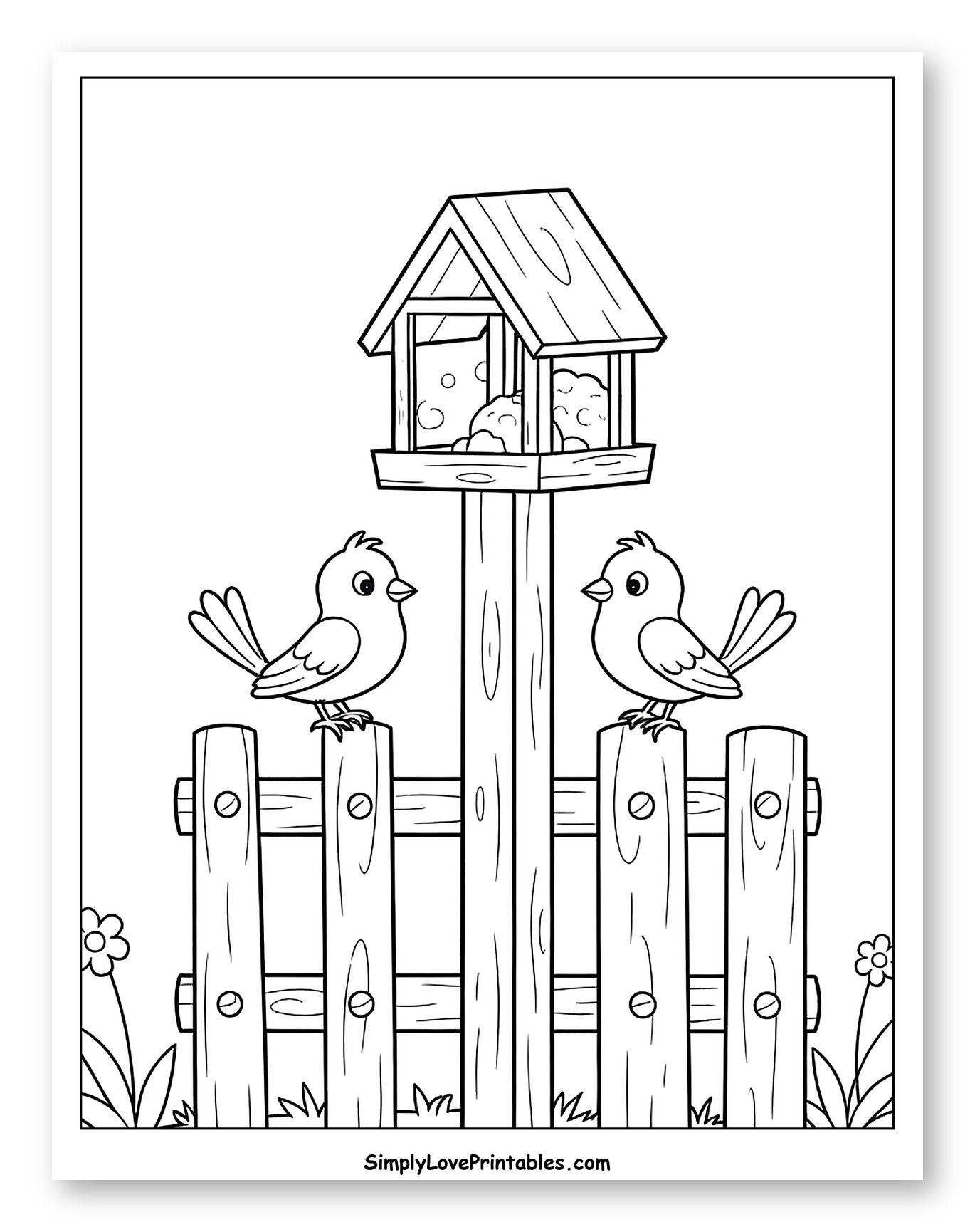 Two Birds on a Fence with a Bird Feeder