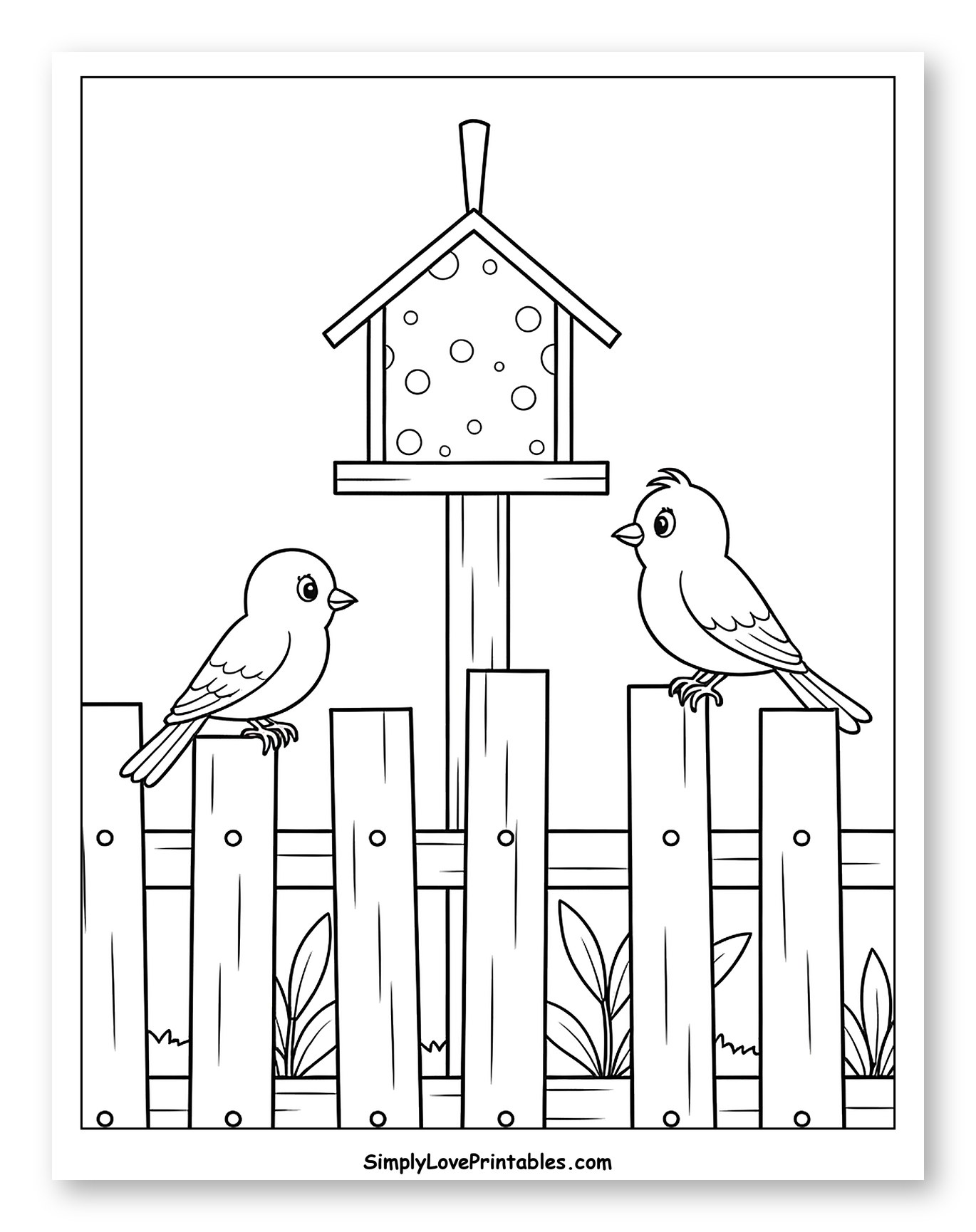 Two Birds on a Fence with Bird Feeder