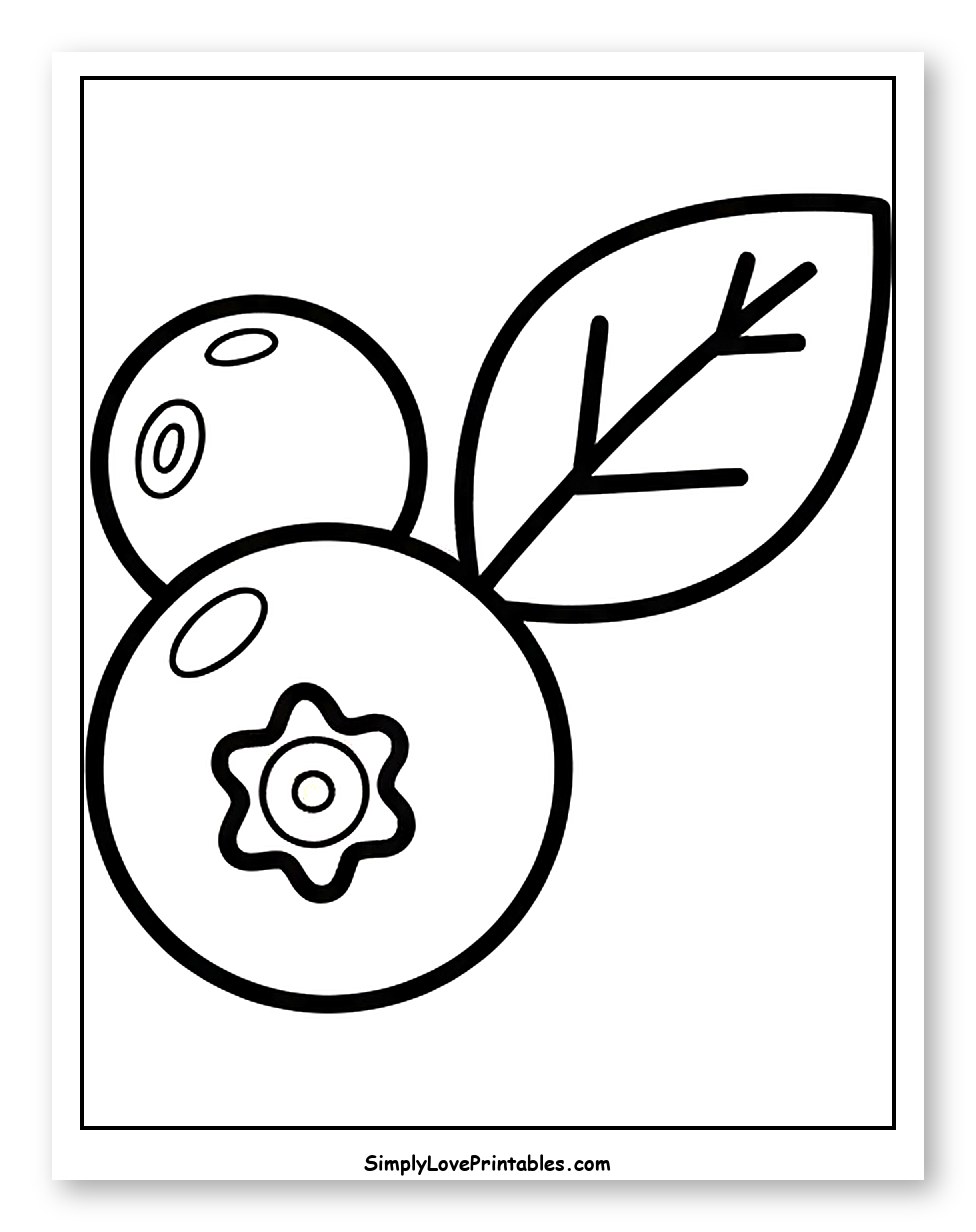 Two Blueberries and a Simple Leaf