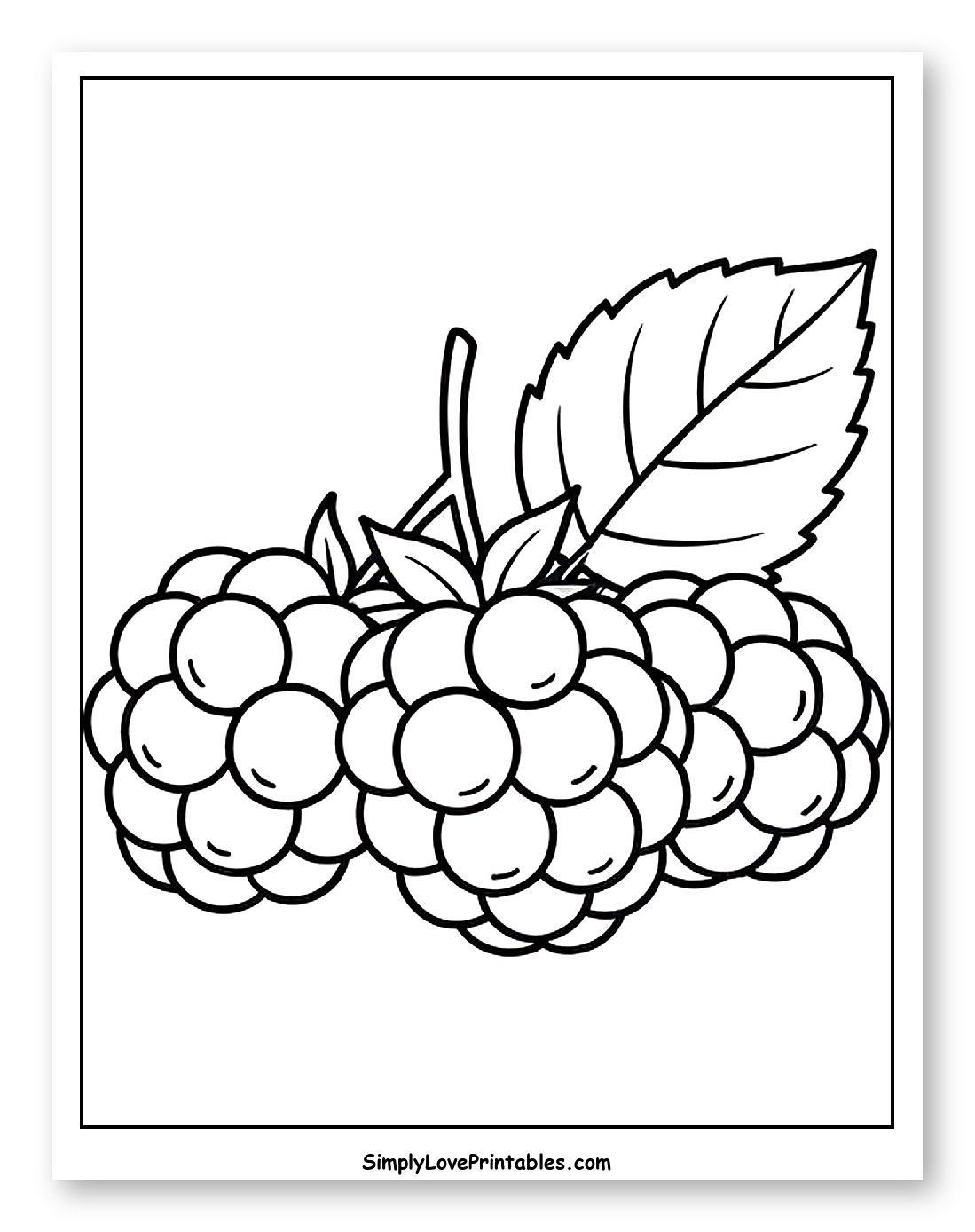 Two Fresh Blackberries with a Leaf Coloring Sheet for Toddlers
