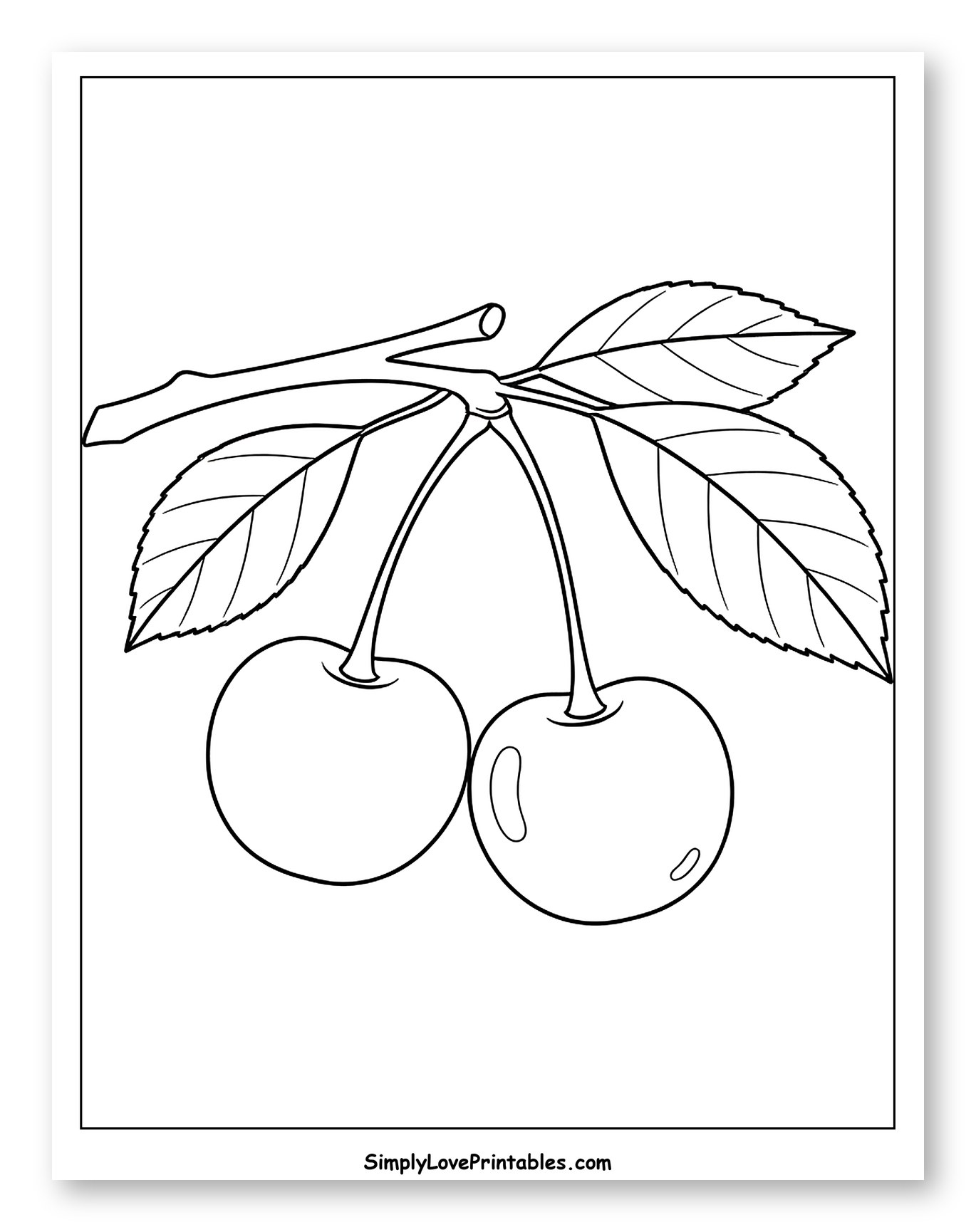 Two Ripe Cherries on a Branch