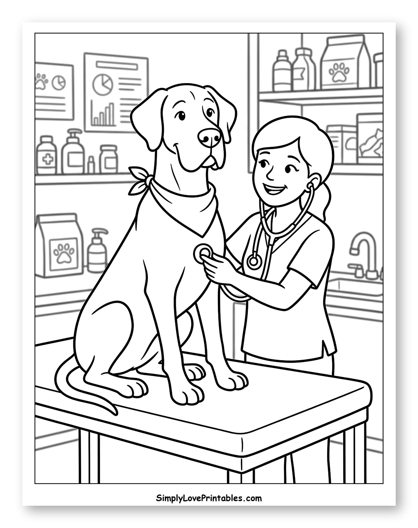 Veterinarian Examining a Great Dane Dog