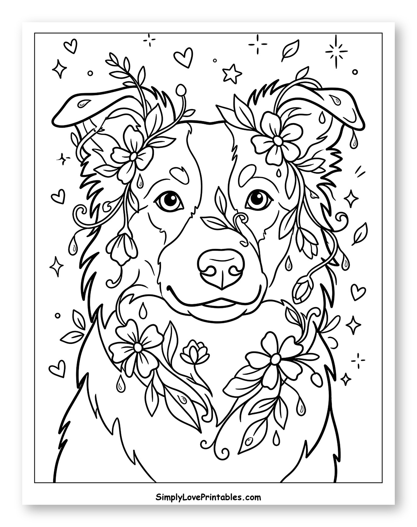 Whimsical Border Collie with Flowers and Stars