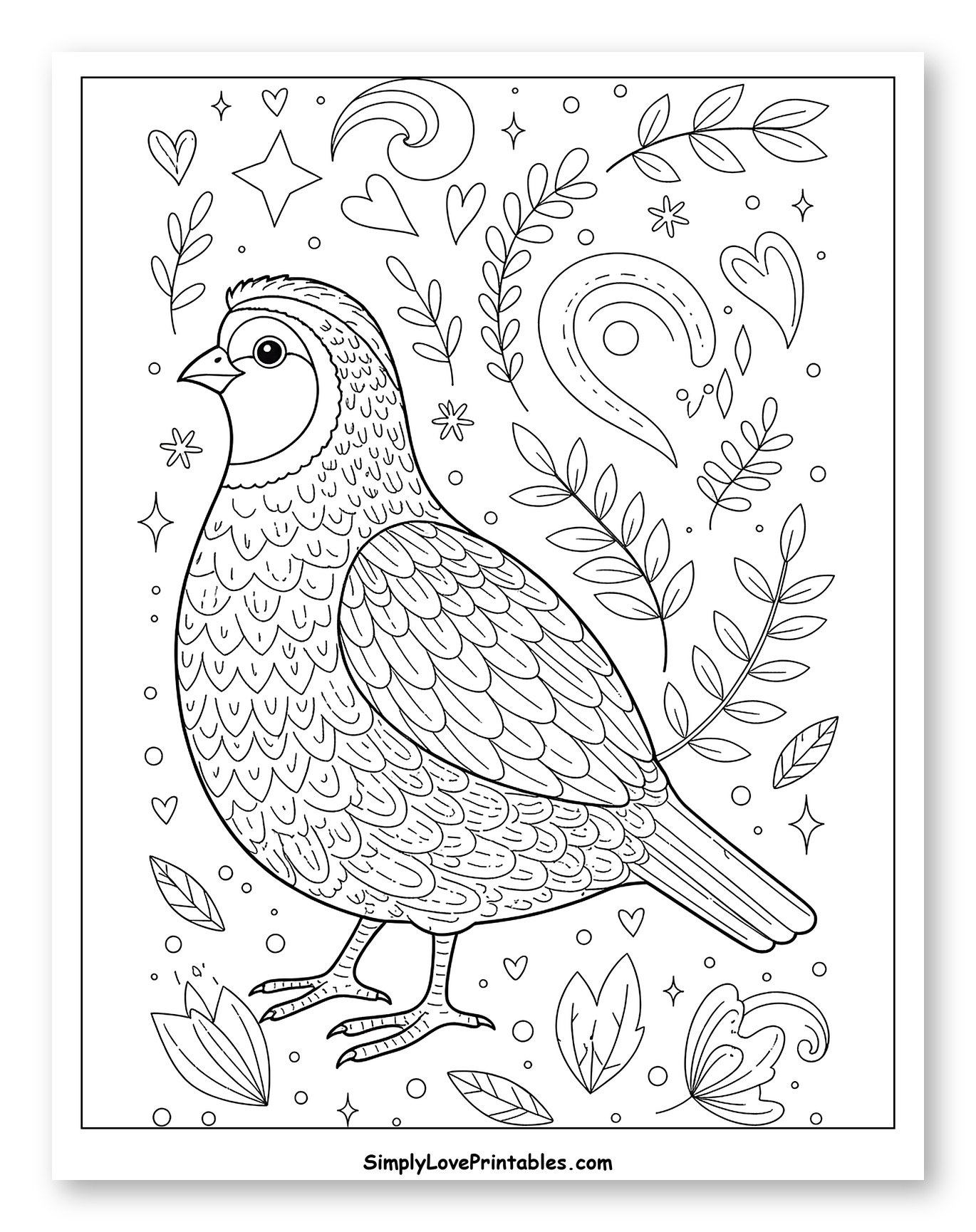 Whimsical Quail with Nature and Star Details
