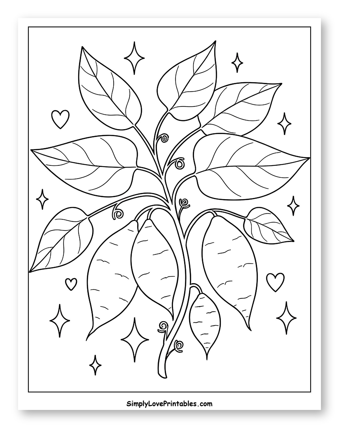 Whimsical Sweet Potato Plant with Stars and Hearts to Color for Adults