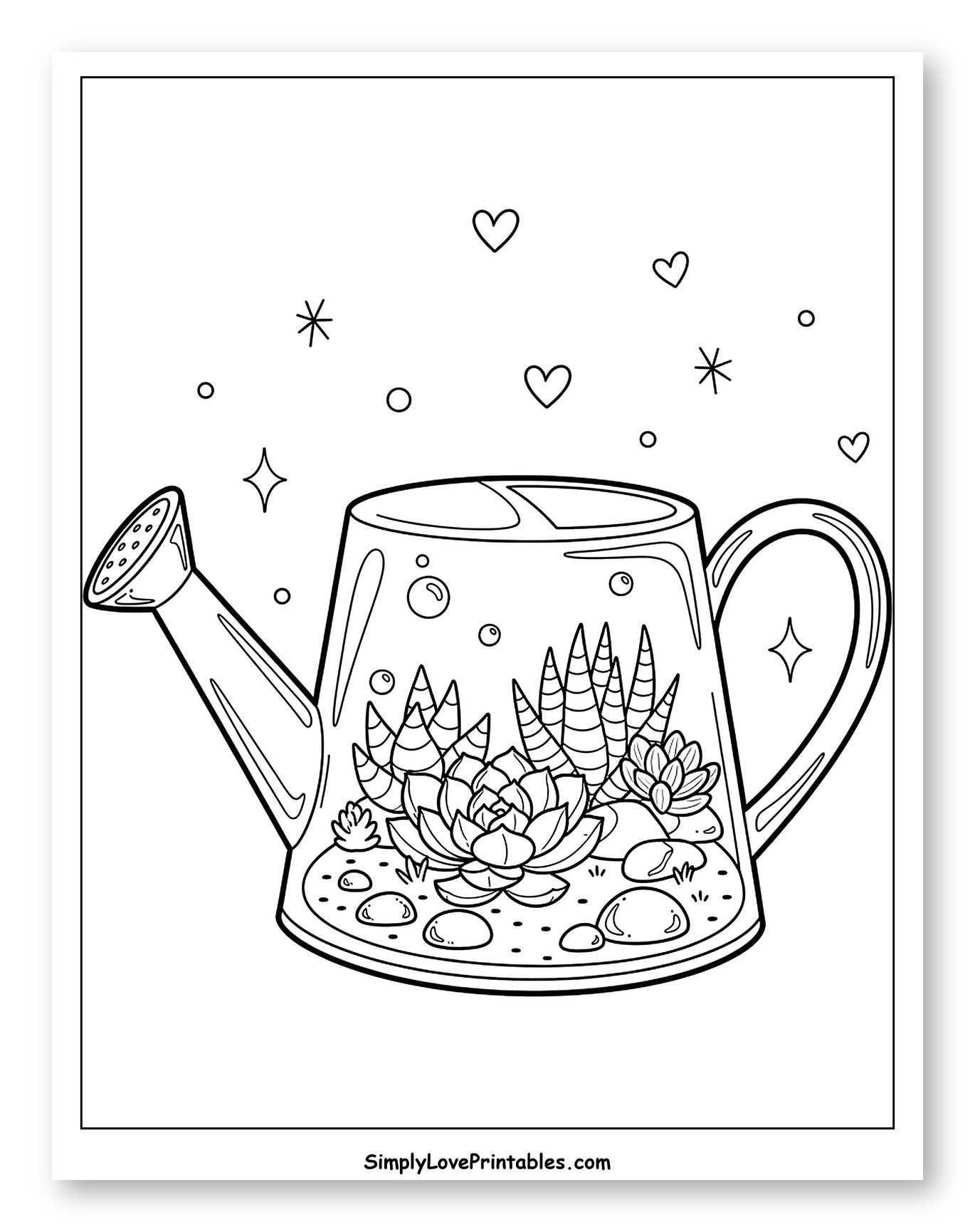 Whimsical Watering Can Terrarium