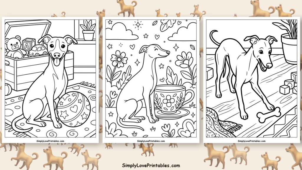 Whippet coloring pages featured image