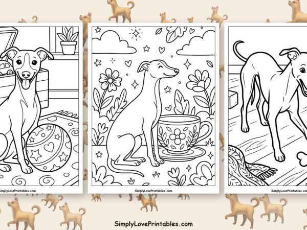 Whippet coloring pages featured image