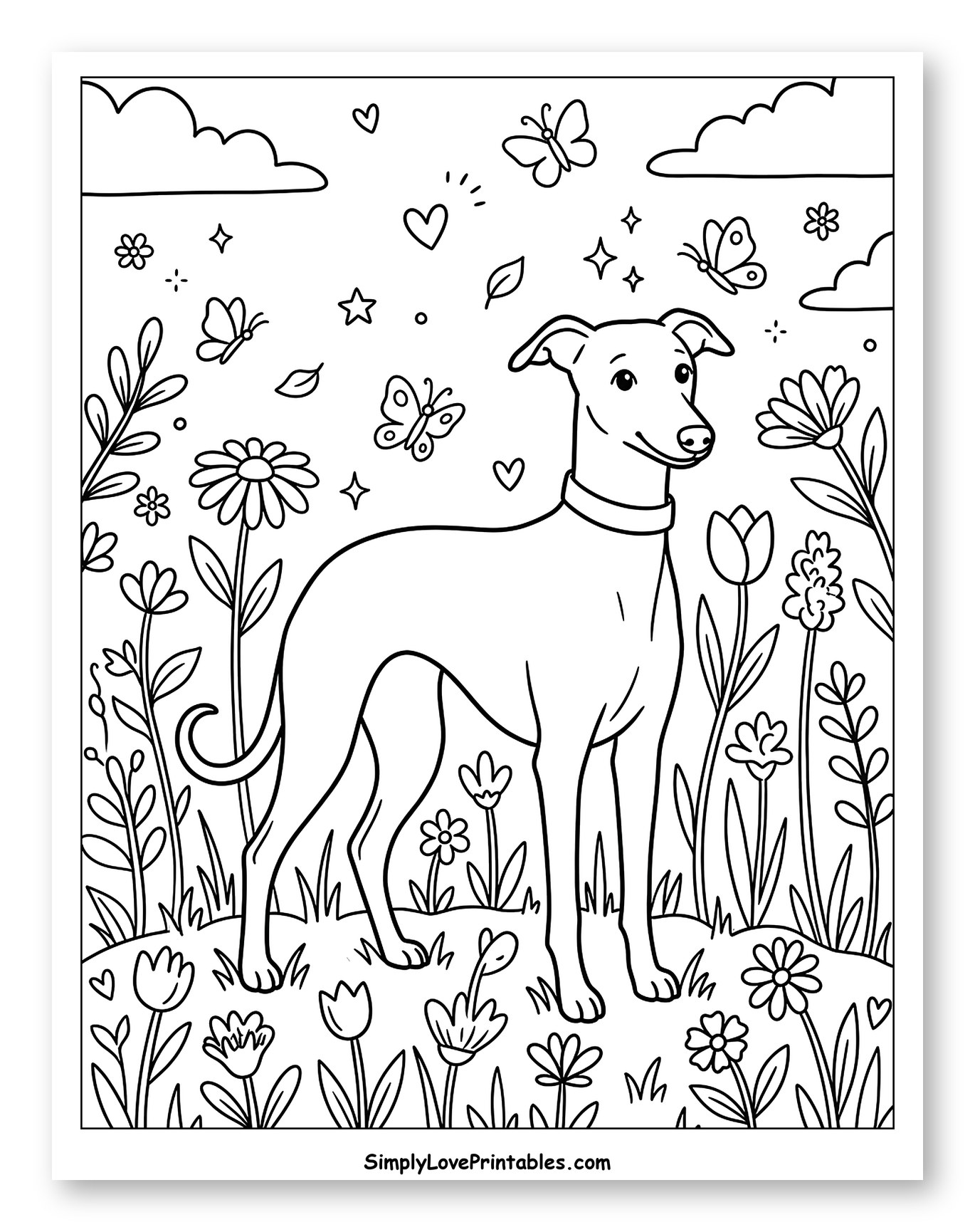 Whippet Dog Among Flowers and Butterflies