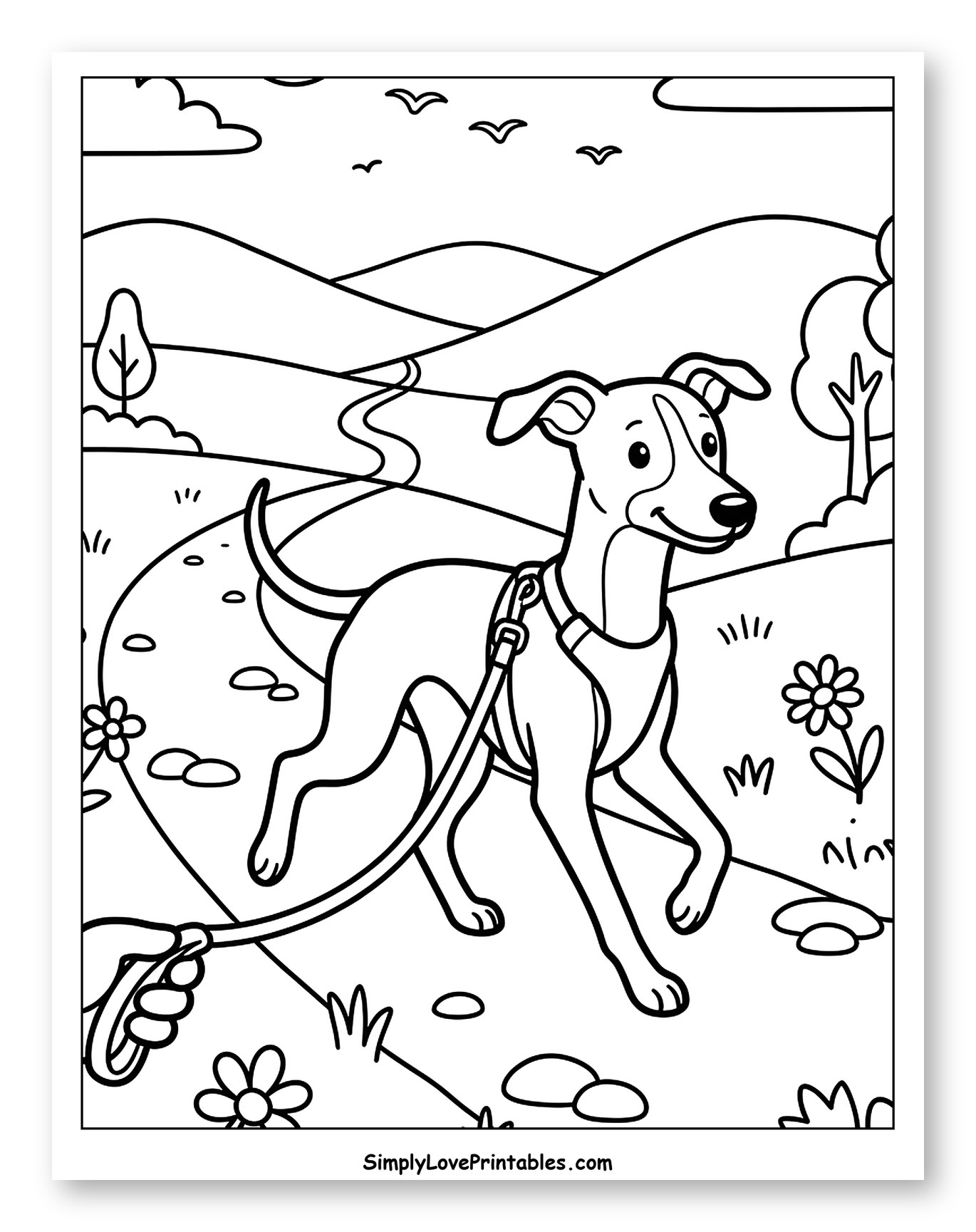 Whippet Dog Walking on a Path in Nature Coloring Sheet for Kids