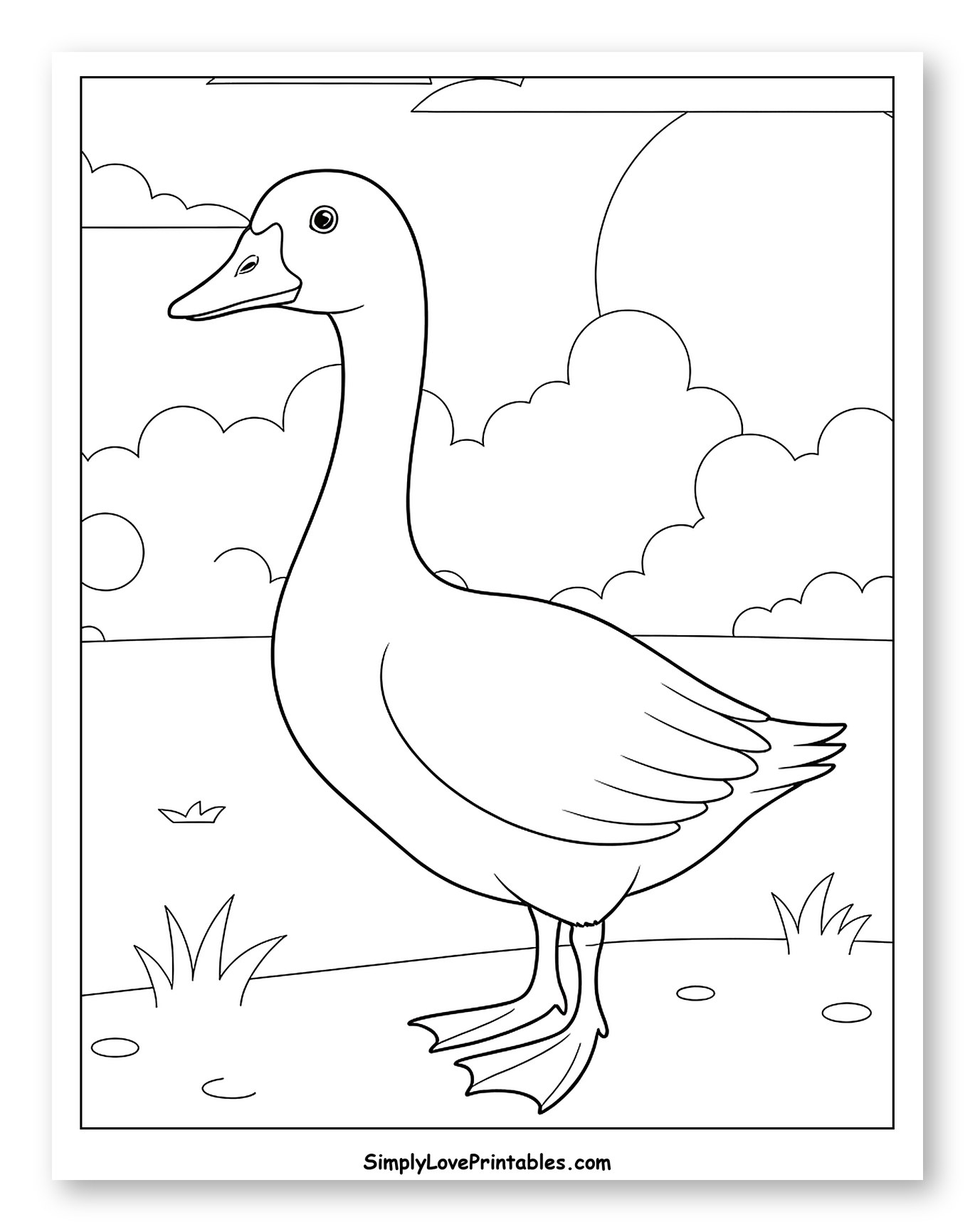 White Goose Standing in a Field