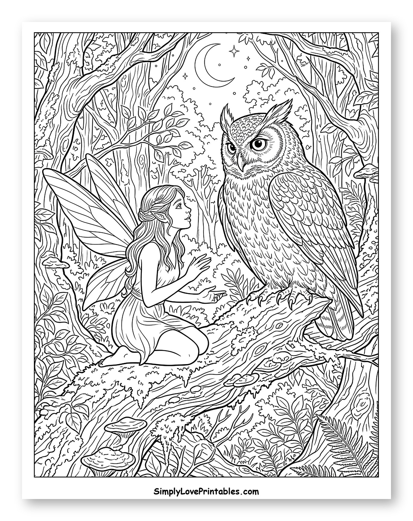 Woodland Fairy Meets Wise Owl to Color
