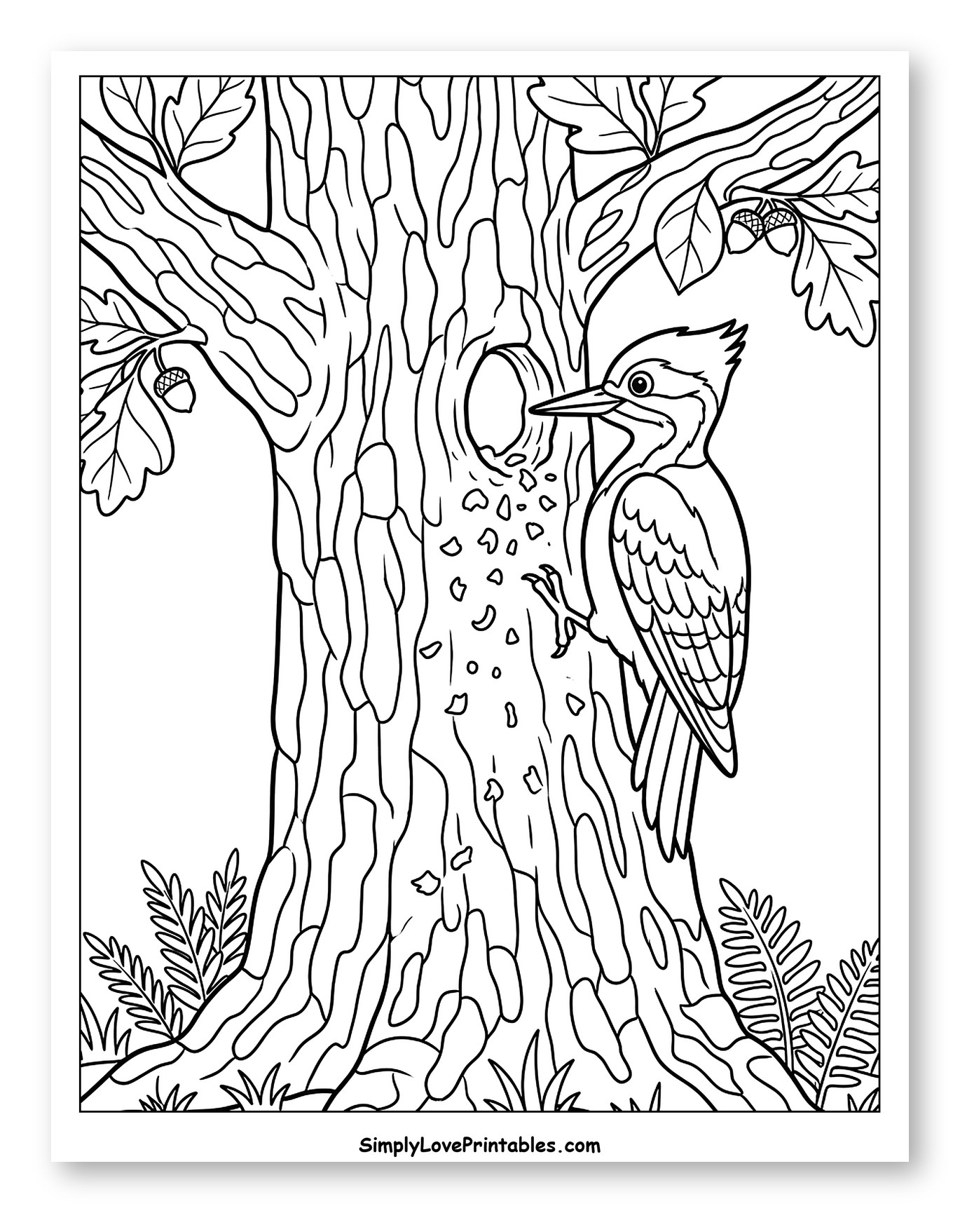Woodpecker on an Oak Tree with Acorns