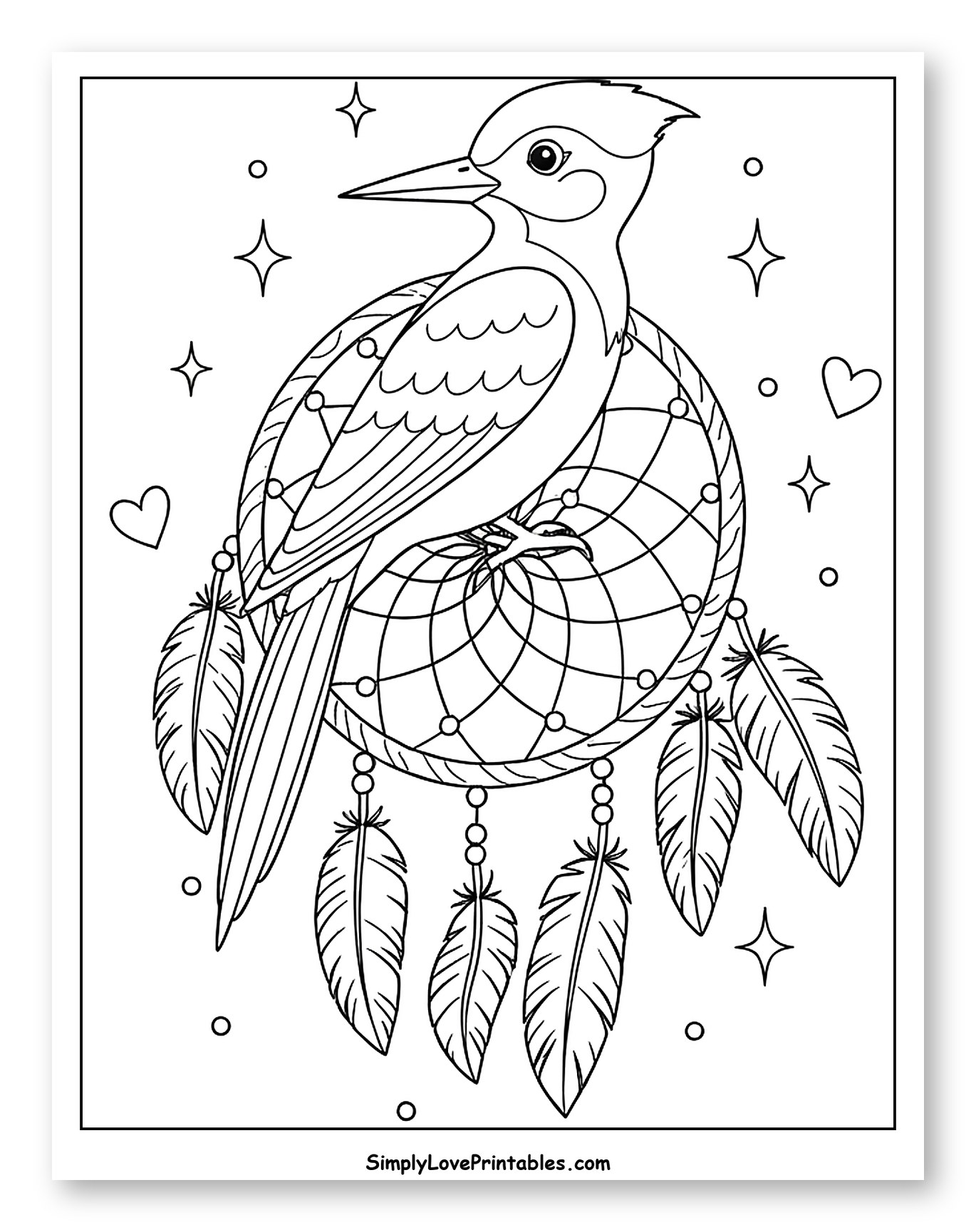 Woodpecker Perched on a Dreamcatcher